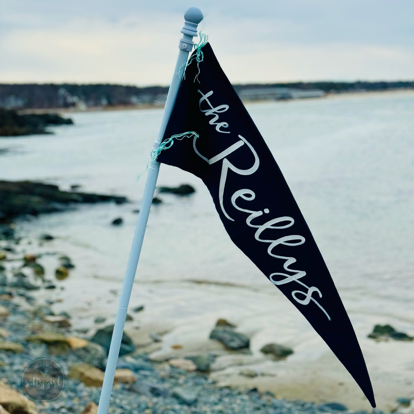 a black and white flag on a beach next to the ocean