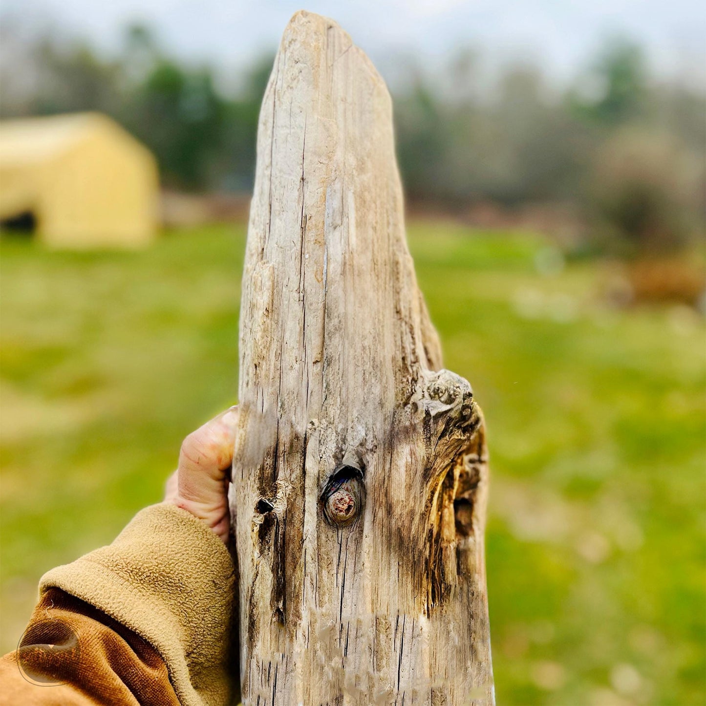a person holding a piece of wood in their hand