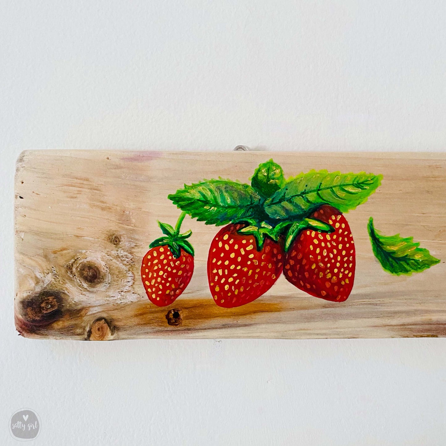 Custom Sign with Hand Painted Graphic 24-60" Driftwood with Rope Hanger
