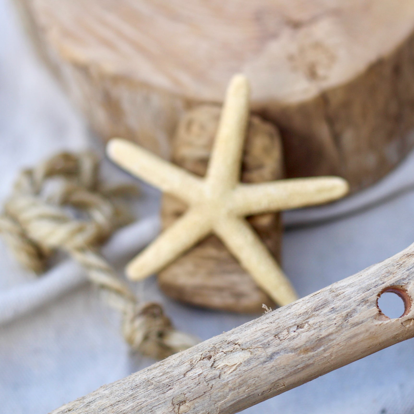 Driftwood Christmas Tree Kit