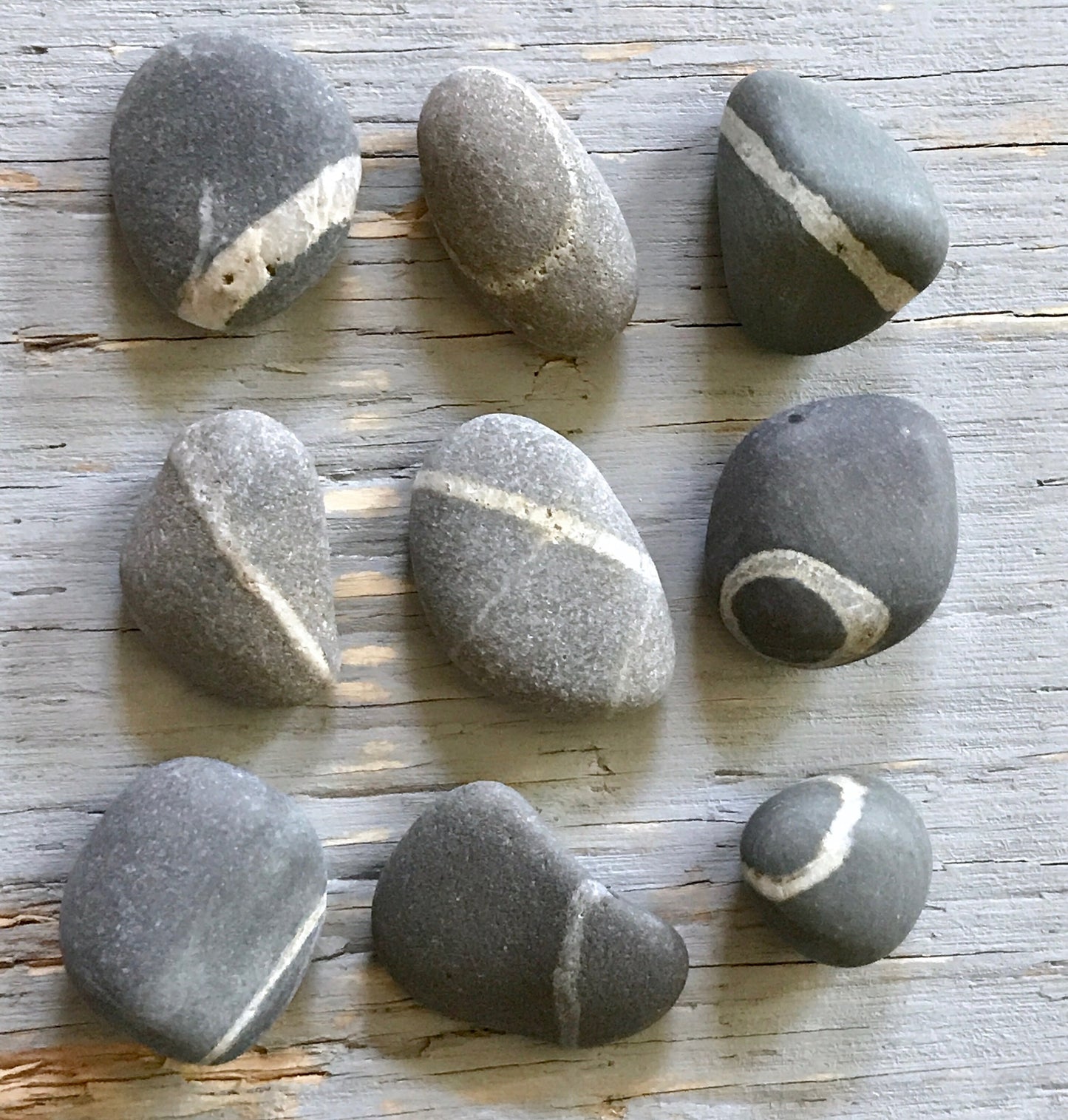 Lucky Wish Stones - 10 Maine Beach Stones with Single White Ring 2-2.5"