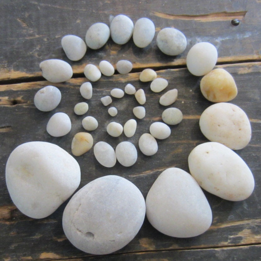 White Quartz Maine Beach Stone Collection - 20 Smooth Stones .5-1.5 inch