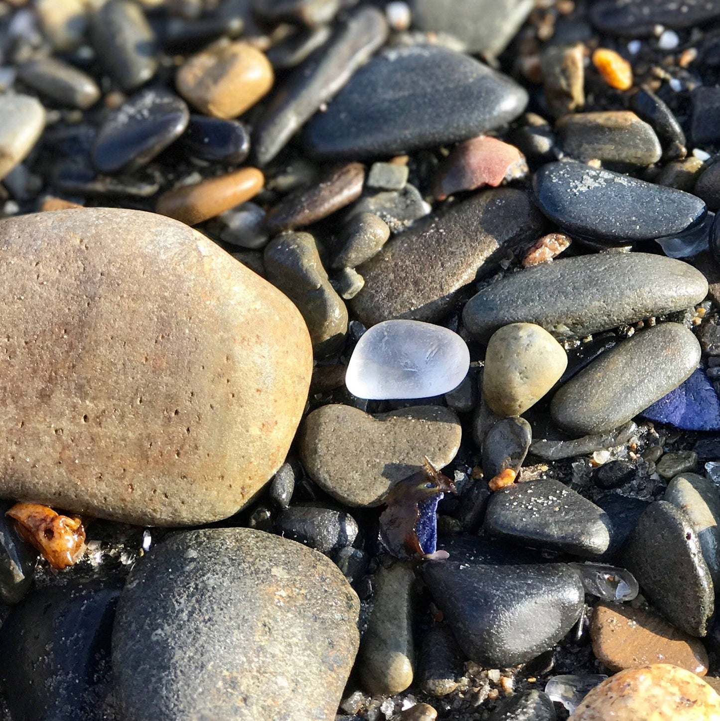 Sea Glass Teardrops - Tiny Mermaid Tears in a Mini Glass Jar - Genuine Sea Glass from Maine