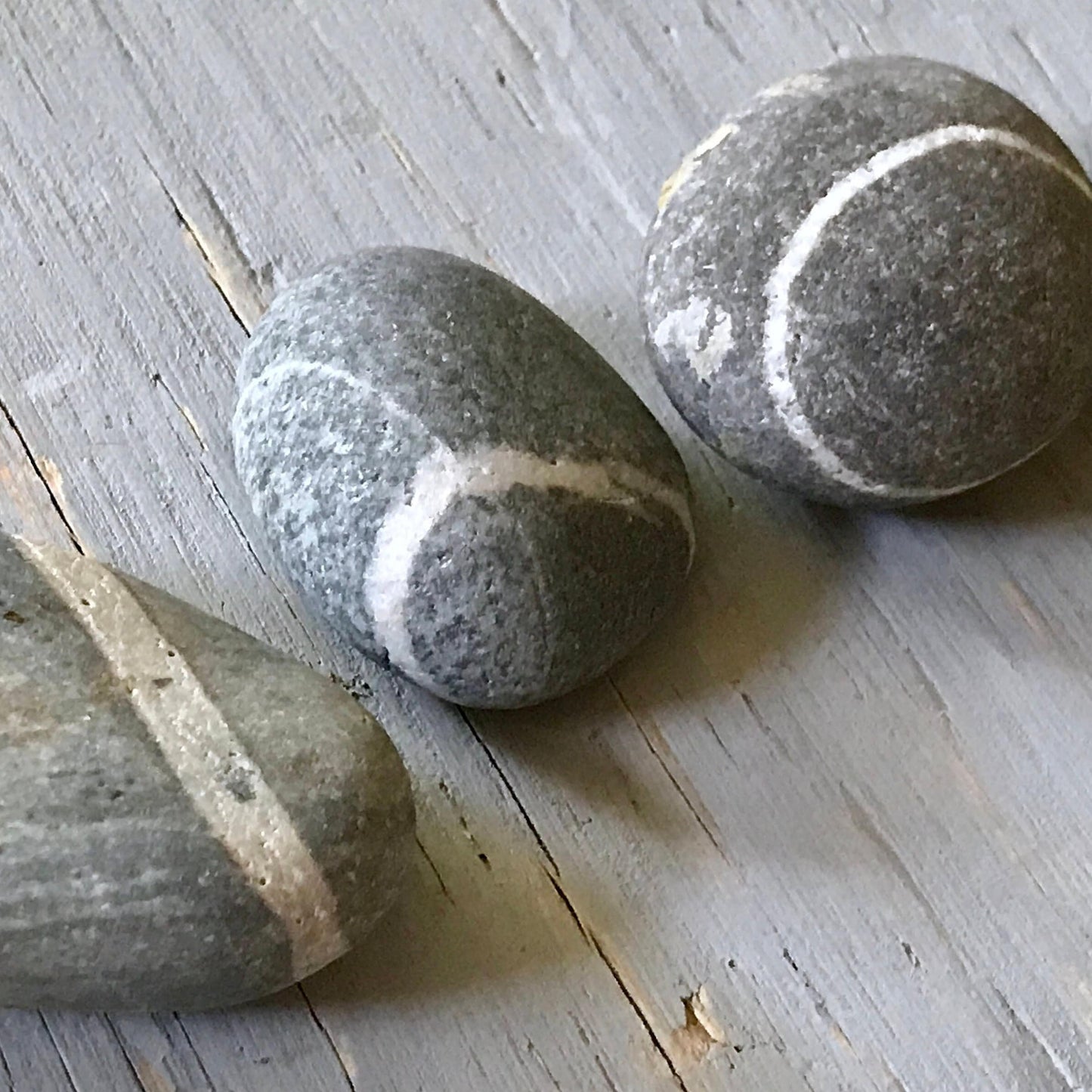 Lucky Wish Stones - 10 Maine Beach Stones with Single White Ring 2-2.5"