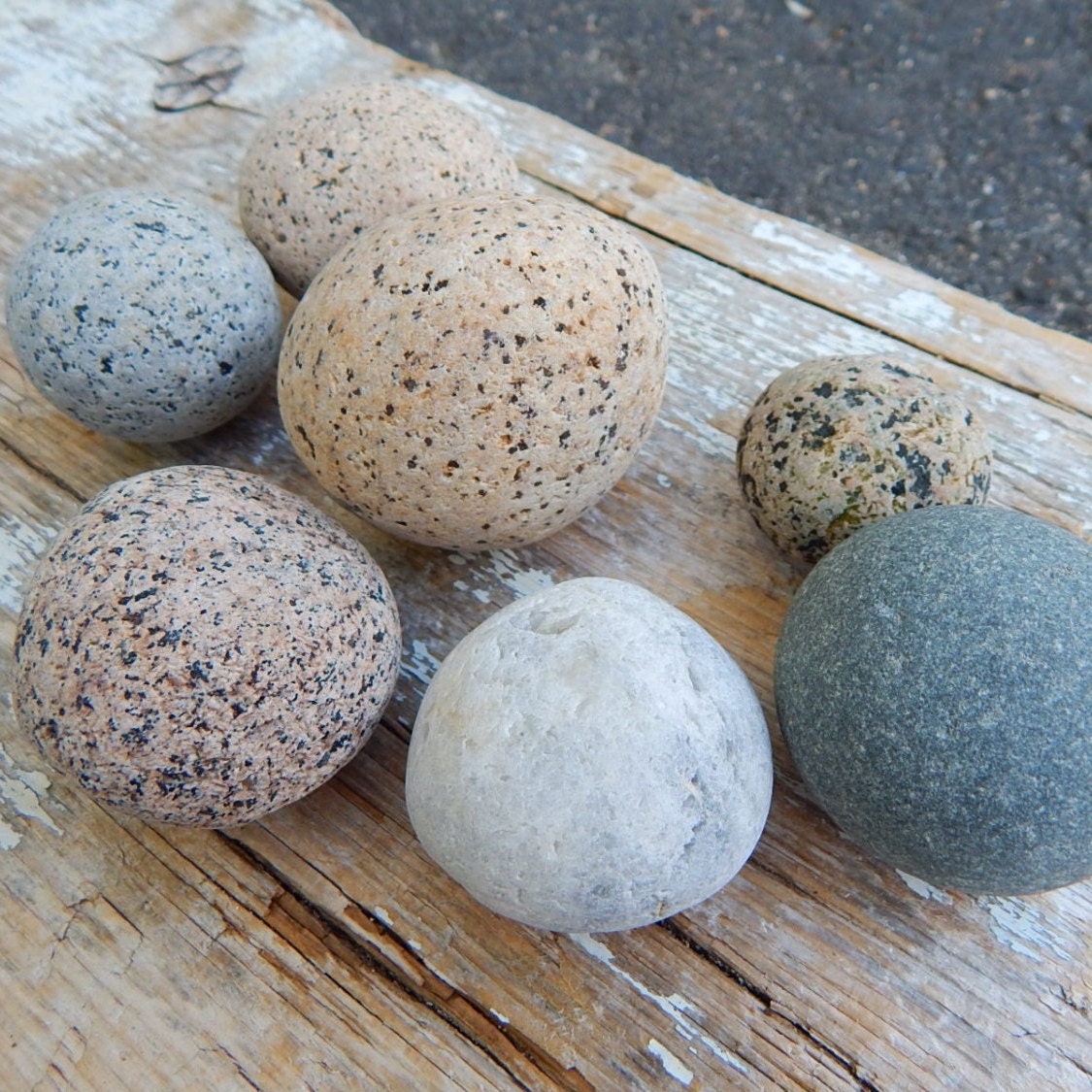 Maine Beach Stones - 5 Round .75 - 1.75" Snowball Rocks from Maine - DIY Stones - Stone Collecting - Round Maine Rocks - Beach Rocks