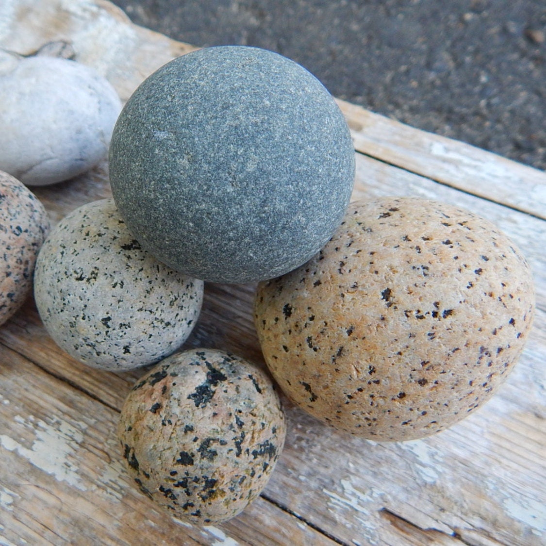 Maine Beach Stones - 5 Round .75 - 1.75" Snowball Rocks from Maine - DIY Stones - Stone Collecting - Round Maine Rocks - Beach Rocks