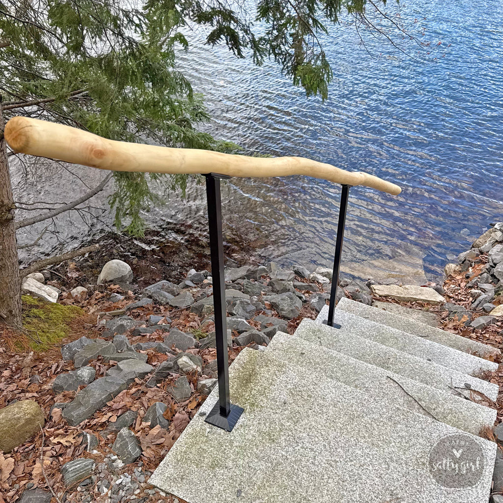 A wooden handrail extends over a set of concrete stairs leading down to a body of water, with a tree and rocks visible in the background.