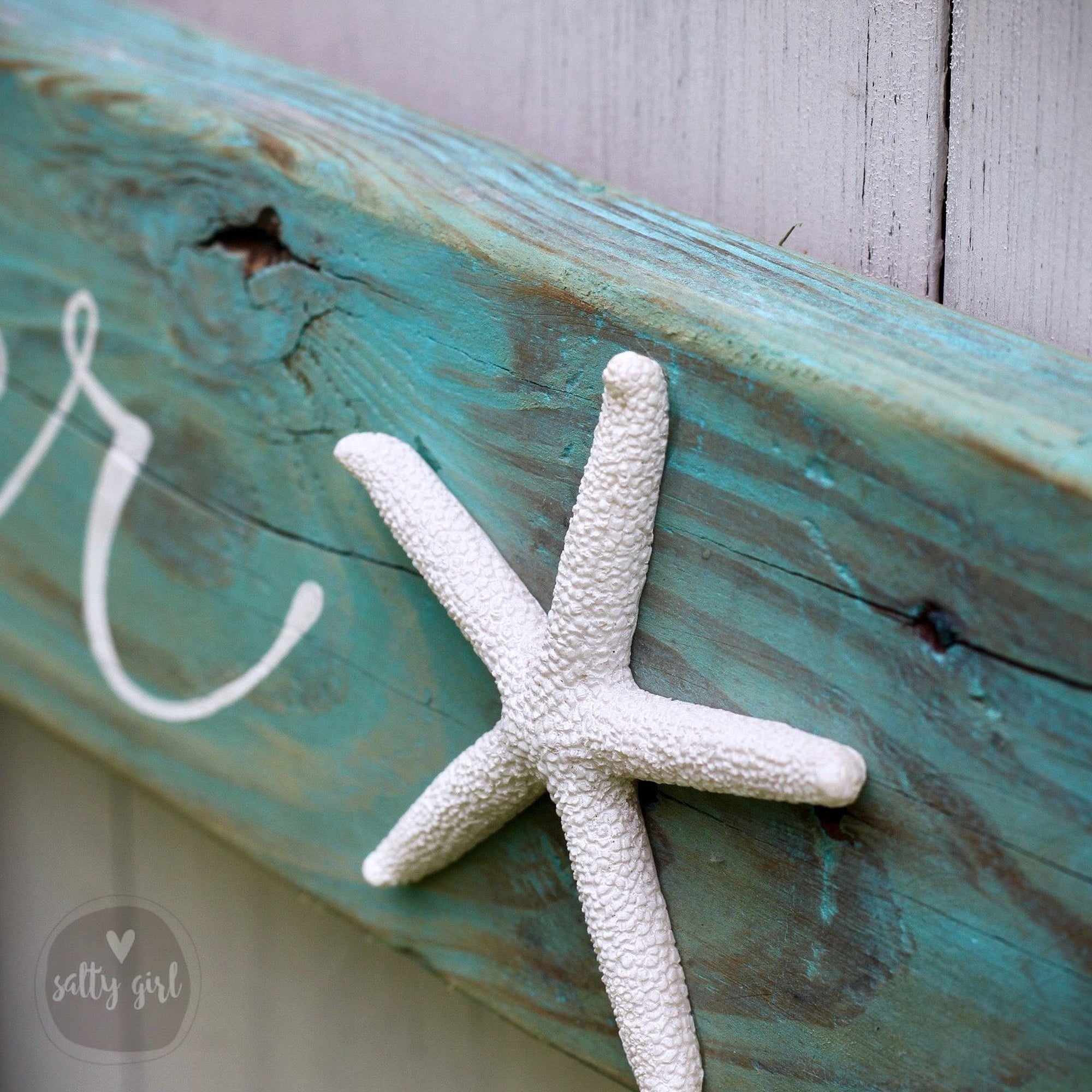 A close-up image of a white starfish attached to a blue driftwood sign.