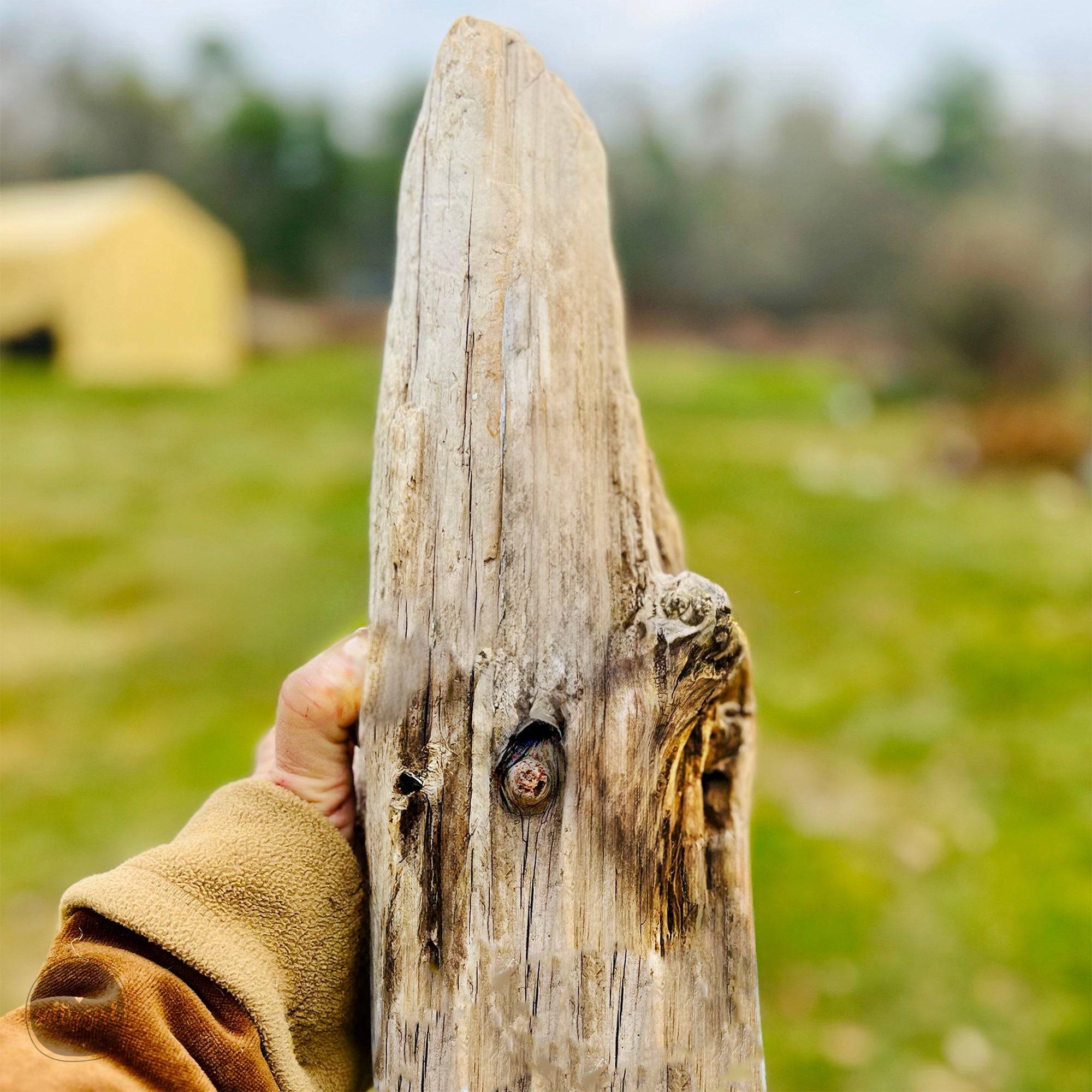 A hand holding a weathered wooden stick in a grassy field.