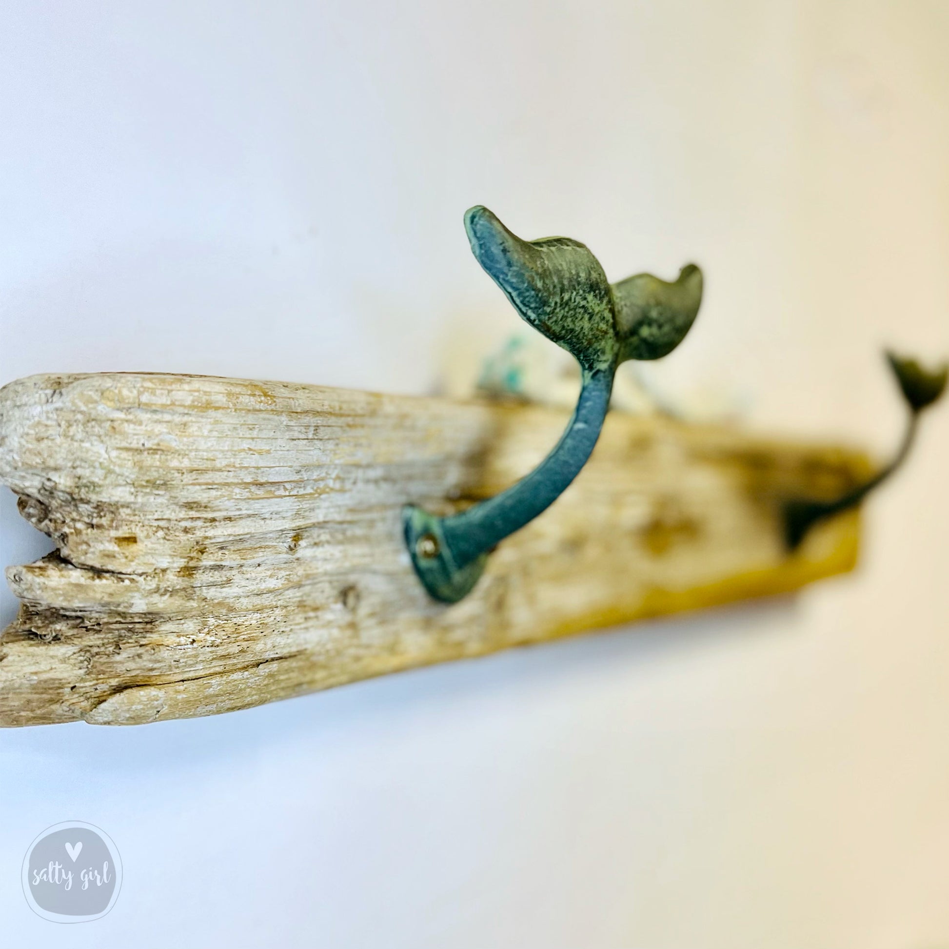 a close up of a piece of wood with a plant growing out of it