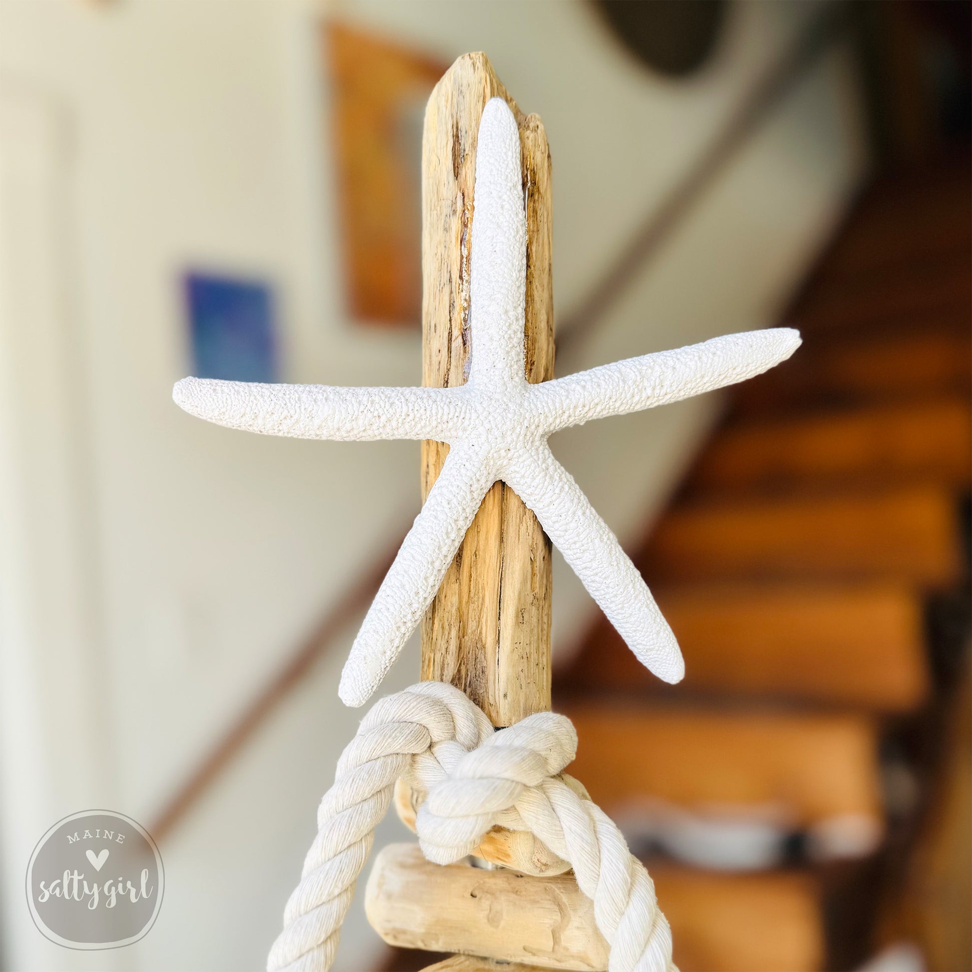 A white starfish is attached to a wooden post, with a rope tied around it.