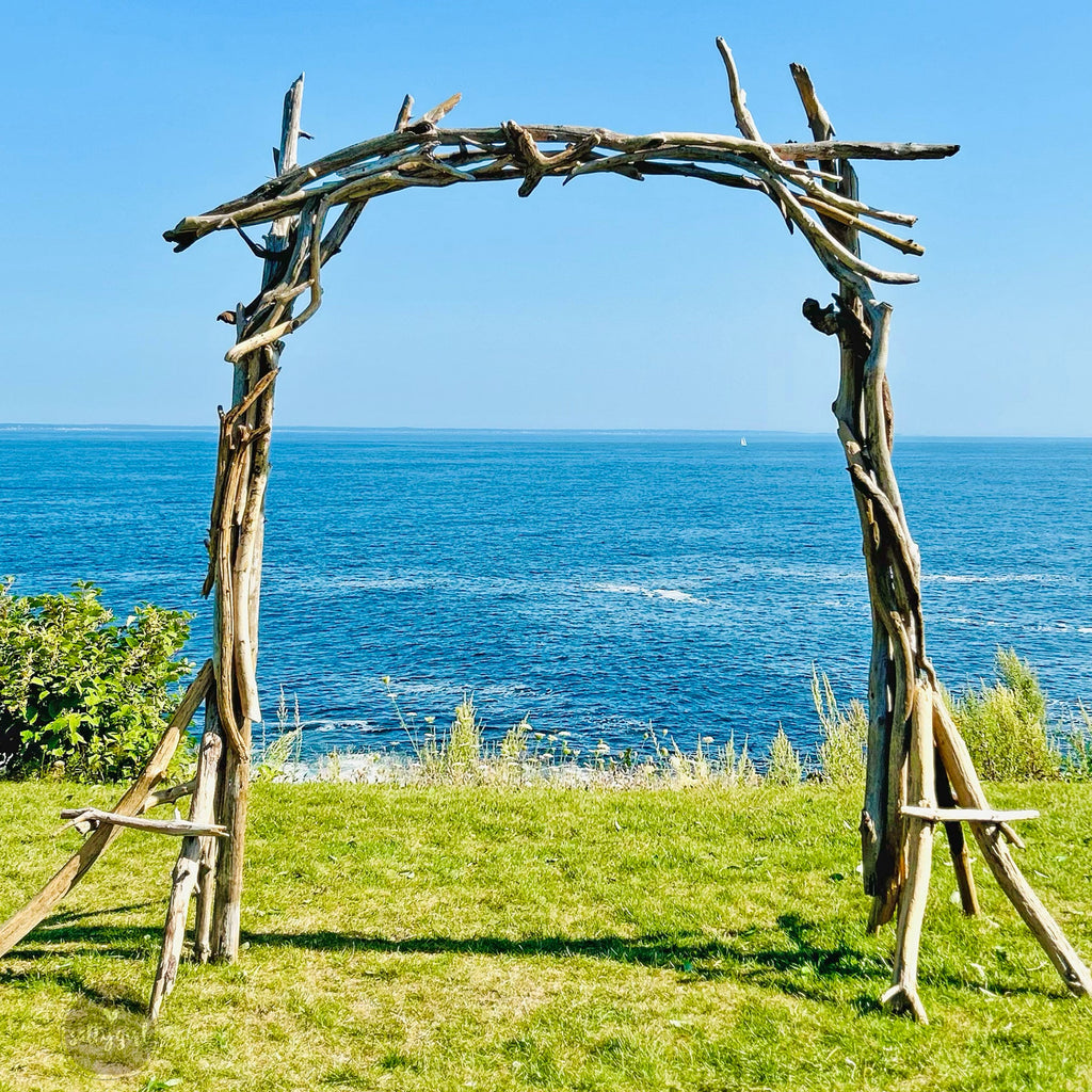 Driftwood Arch Rental