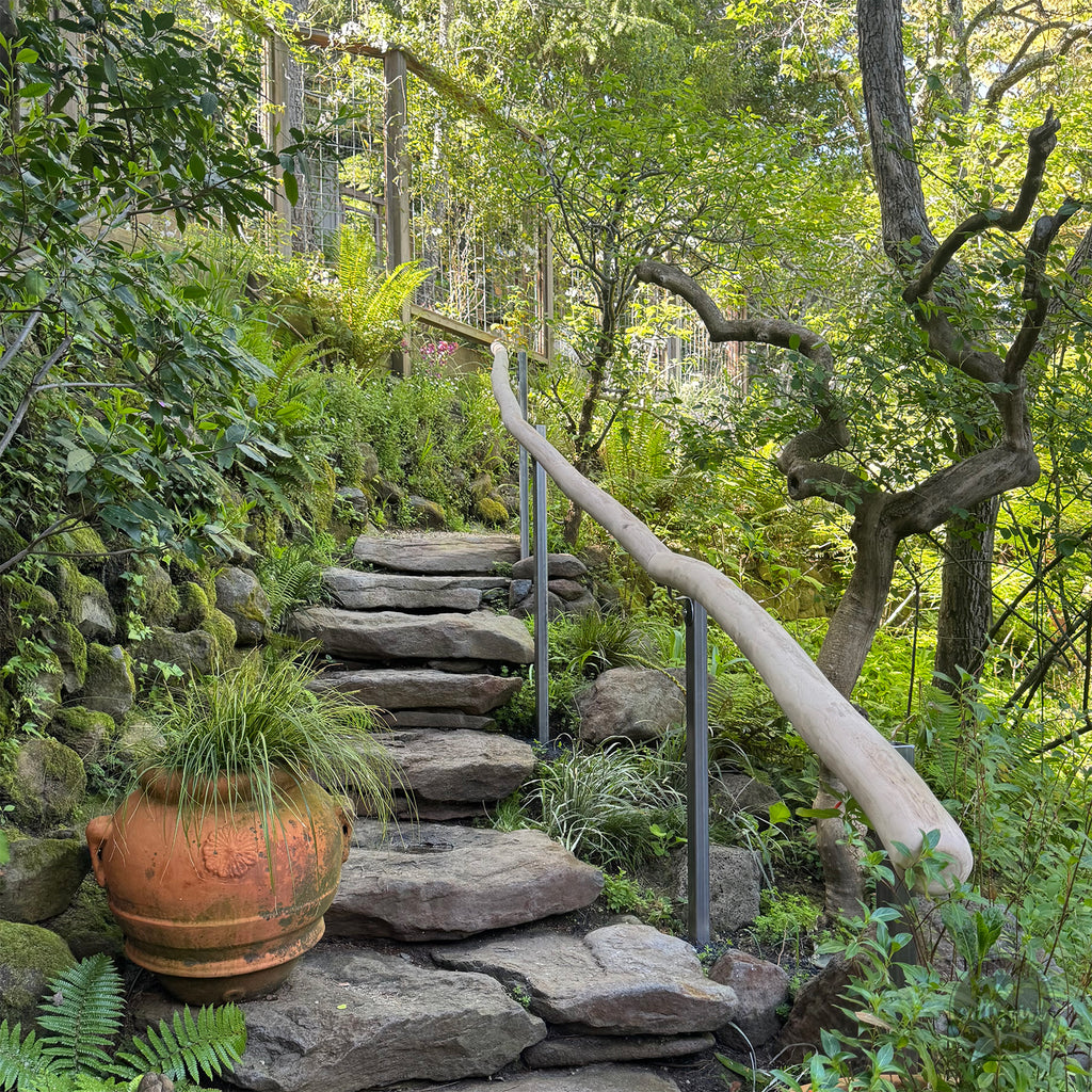 A stone staircase with a wooden handrail leading up to a lush, green forest. The staircase is surrounded by various plants and trees, creating a serene and tranquil atmosphere.