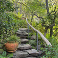 A stone staircase with a wooden handrail leading up to a lush, green forest. The staircase is surrounded by various plants and trees, creating a serene and tranquil atmosphere.