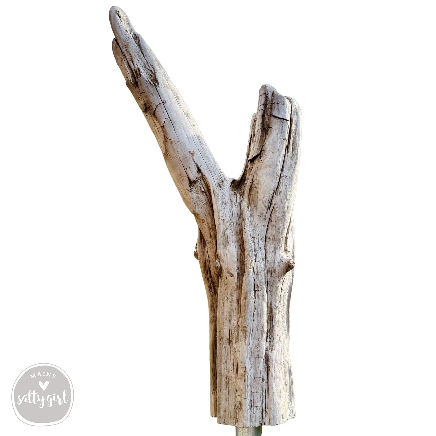 a weathered, tree trunk-like object with a vertical, curved shape, resembling a piece of driftwood or a tree branch.