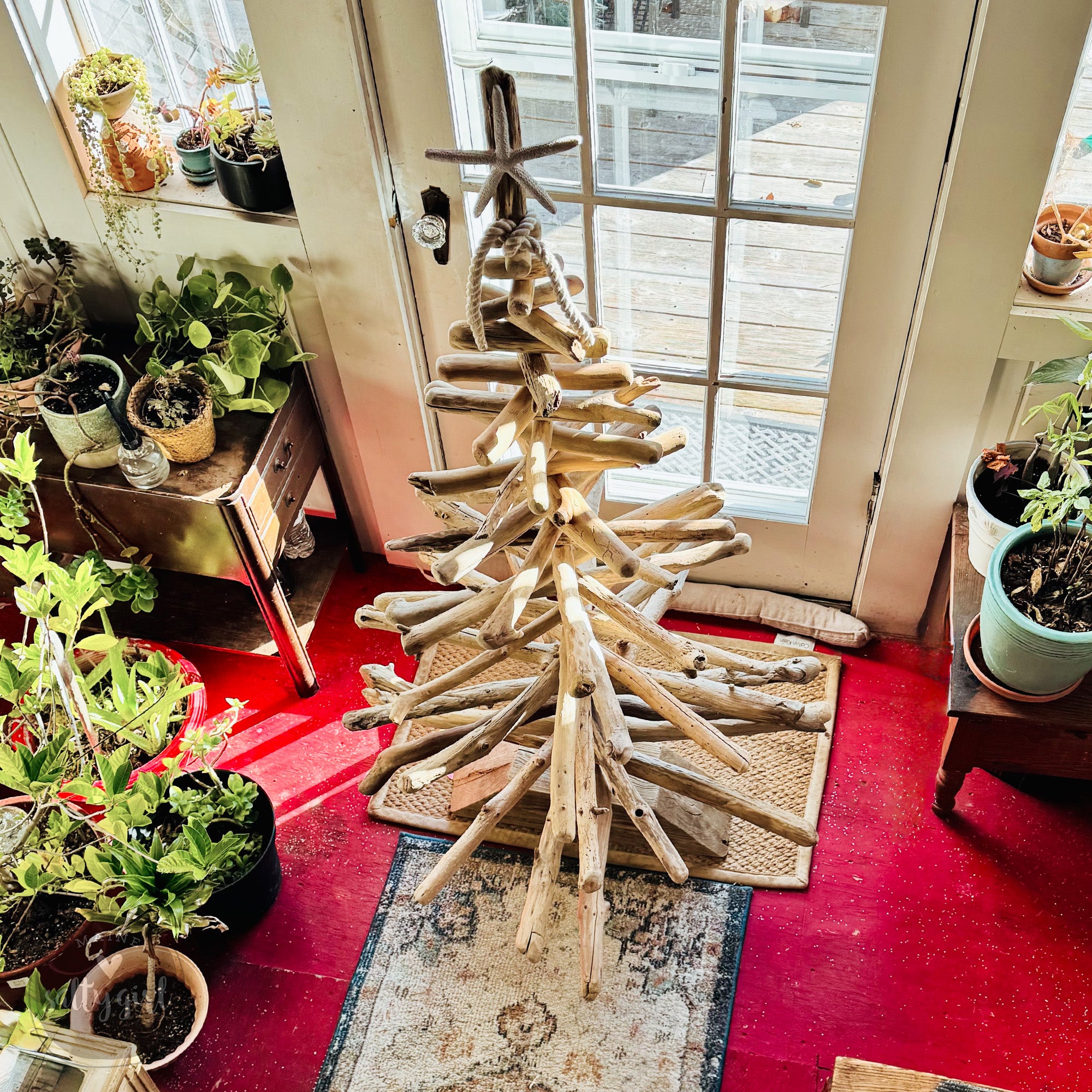A rustic driftwood Christmas tree stands in the center of a room, surrounded by potted plants and a wooden door.