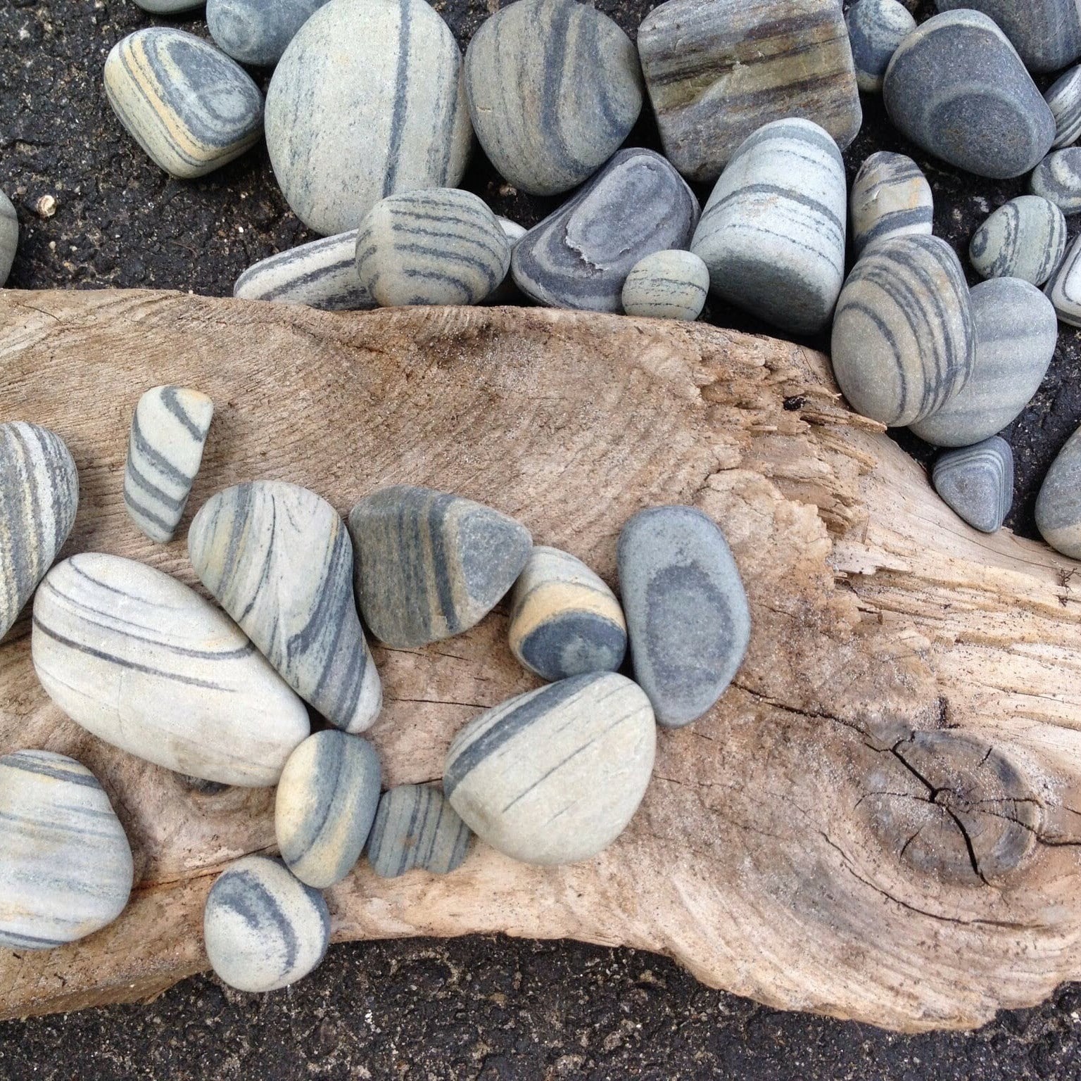 Striped beach stones on driftwood