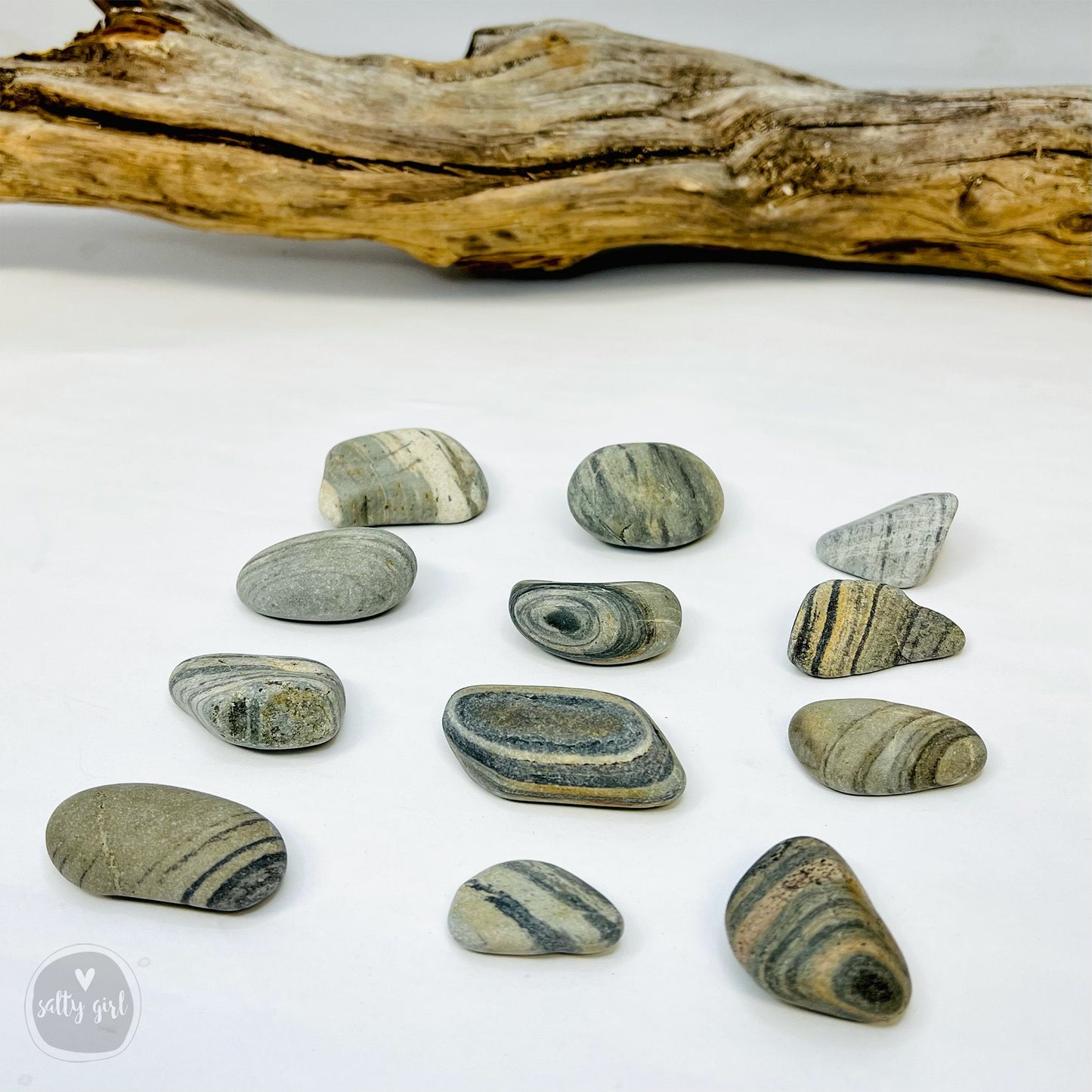 Driftwood with striped beach stones