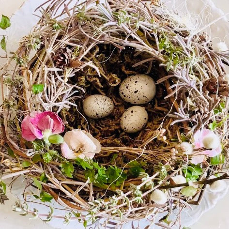Faux Bird Nest with Beach Stone Eggs