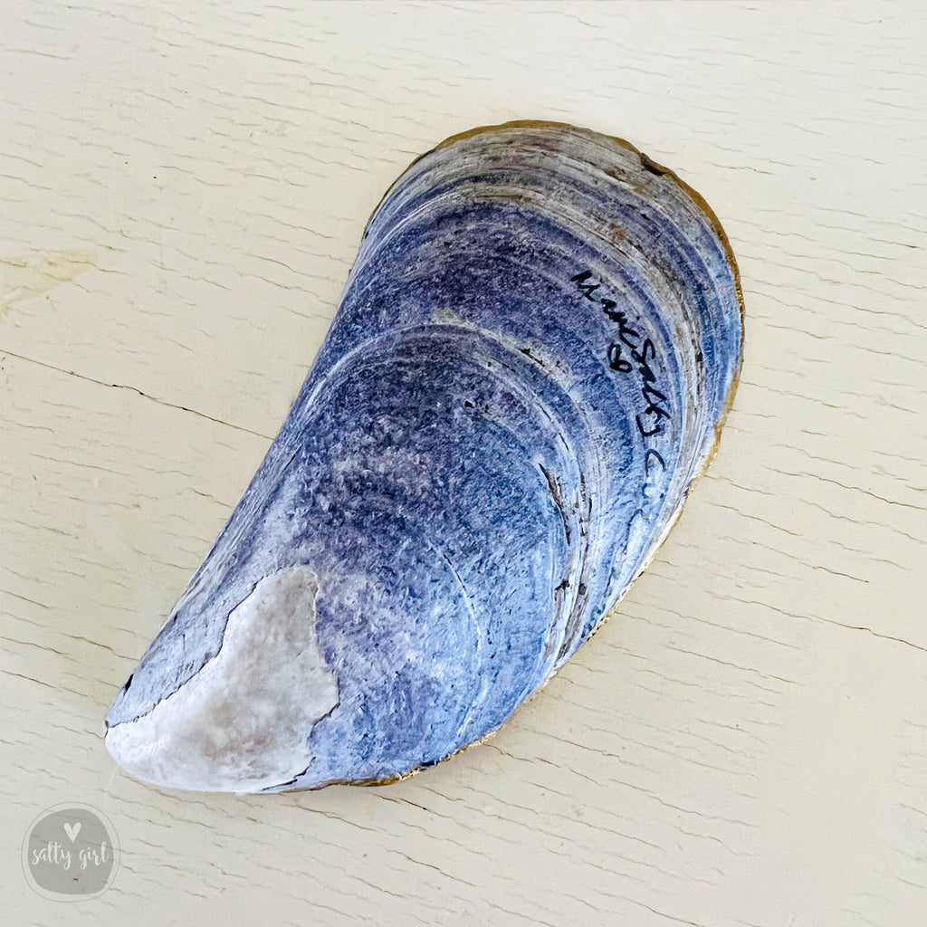 Seashell Ring Dish - Maine Decoupage Sea Shell Wedding Favors
