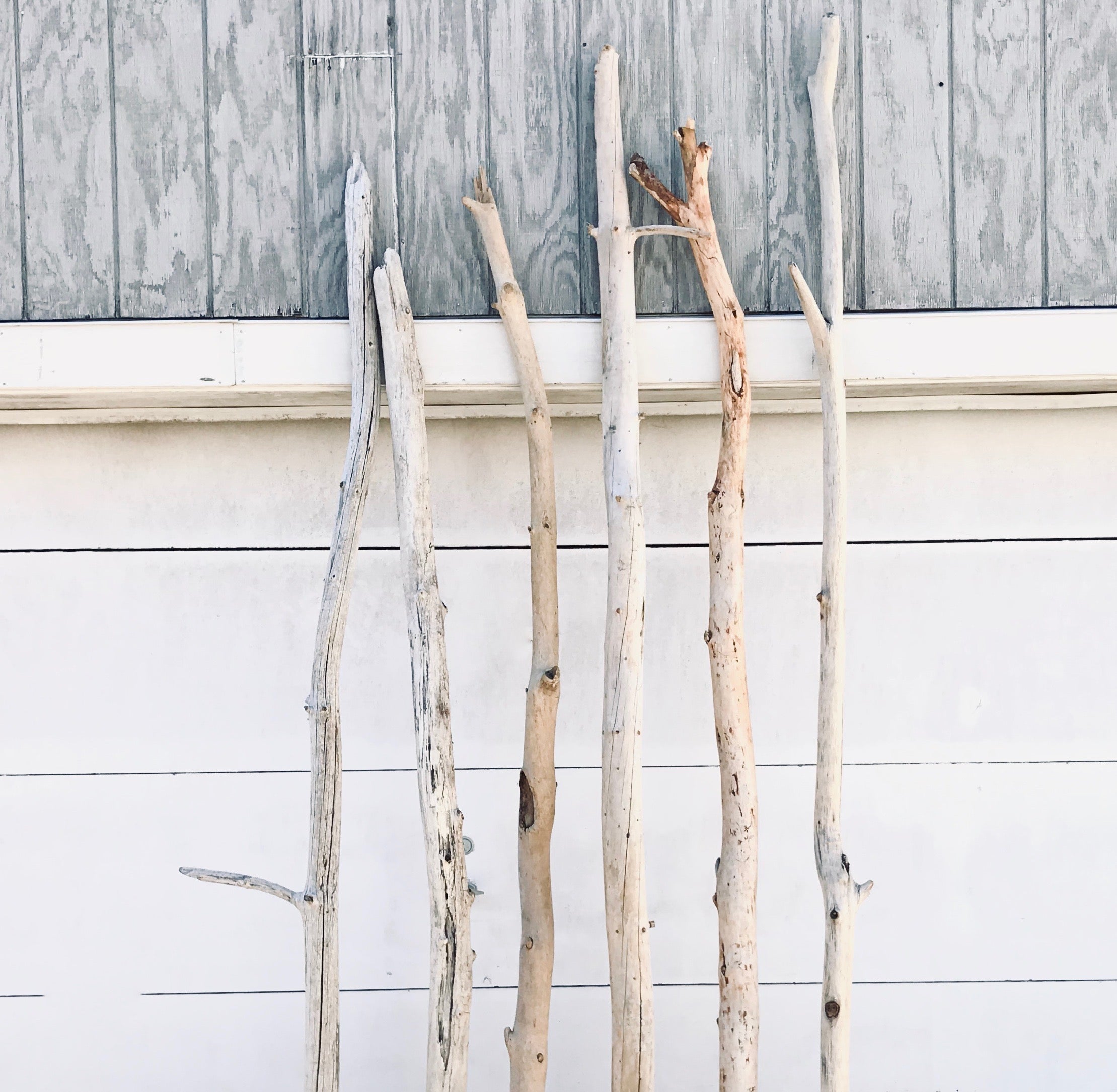 Large Driftwood Branch 6 FT for Coastal Wall Decor