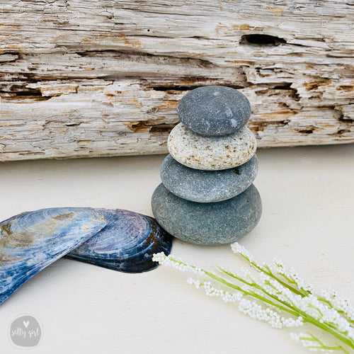 A stack of rocks, including a large gray rock, a smaller gray rock, and a blue mussel shell, sits on a white surface next to a bunch of white flowers.