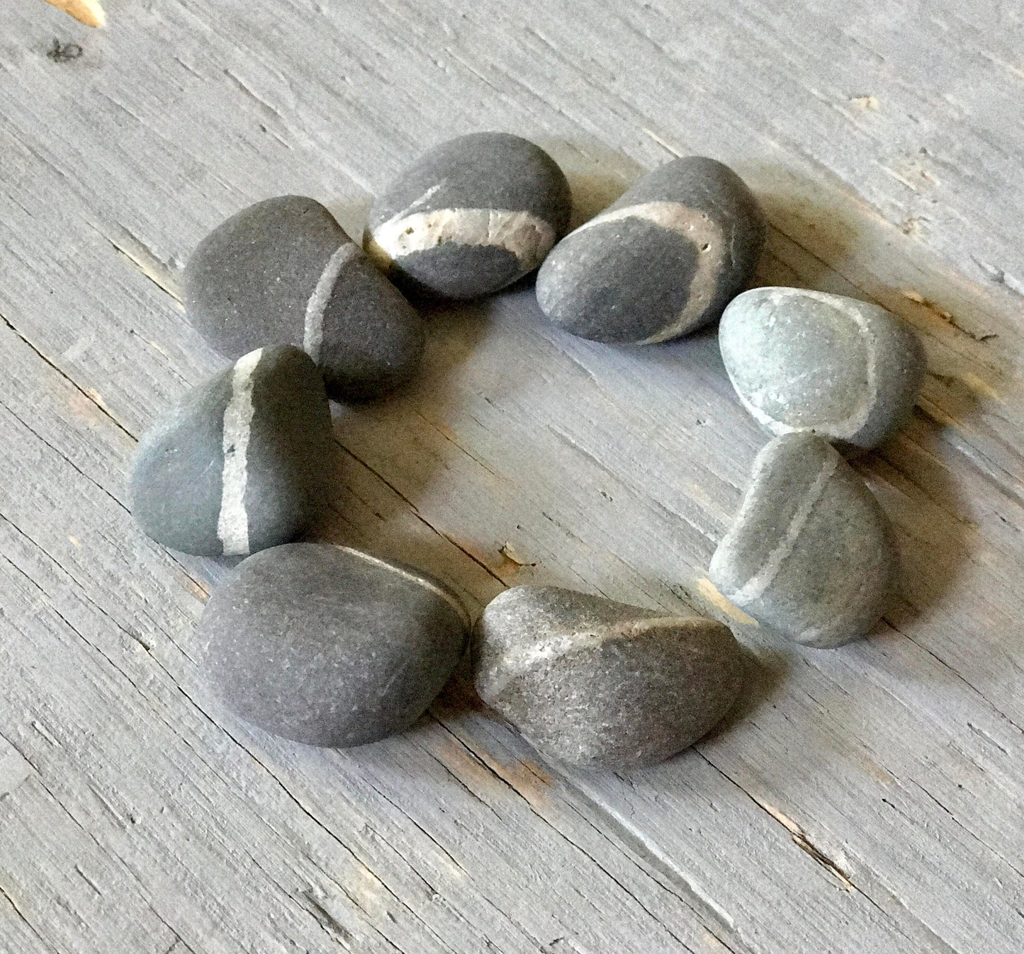 Lucky Wish Stones - 10 Maine Beach Stones with Single White Ring 2-2.5"