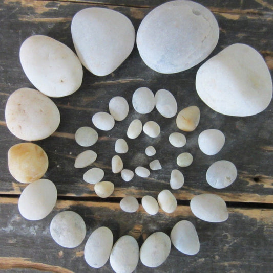 White Quartz Maine Beach Stone Collection - 20 Smooth Stones .5-1.5 inch