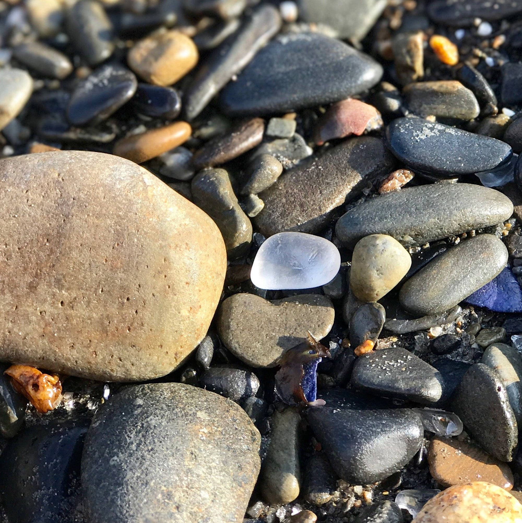 Unique Mermaid Sea Glass Wedding Favors - Handpicked Teardrop Jewels for Your Special Day