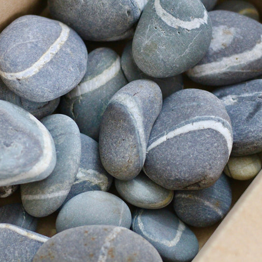 Lucky Wish Stones - 10 Maine Beach Stones with Single White Ring 2-2.5"