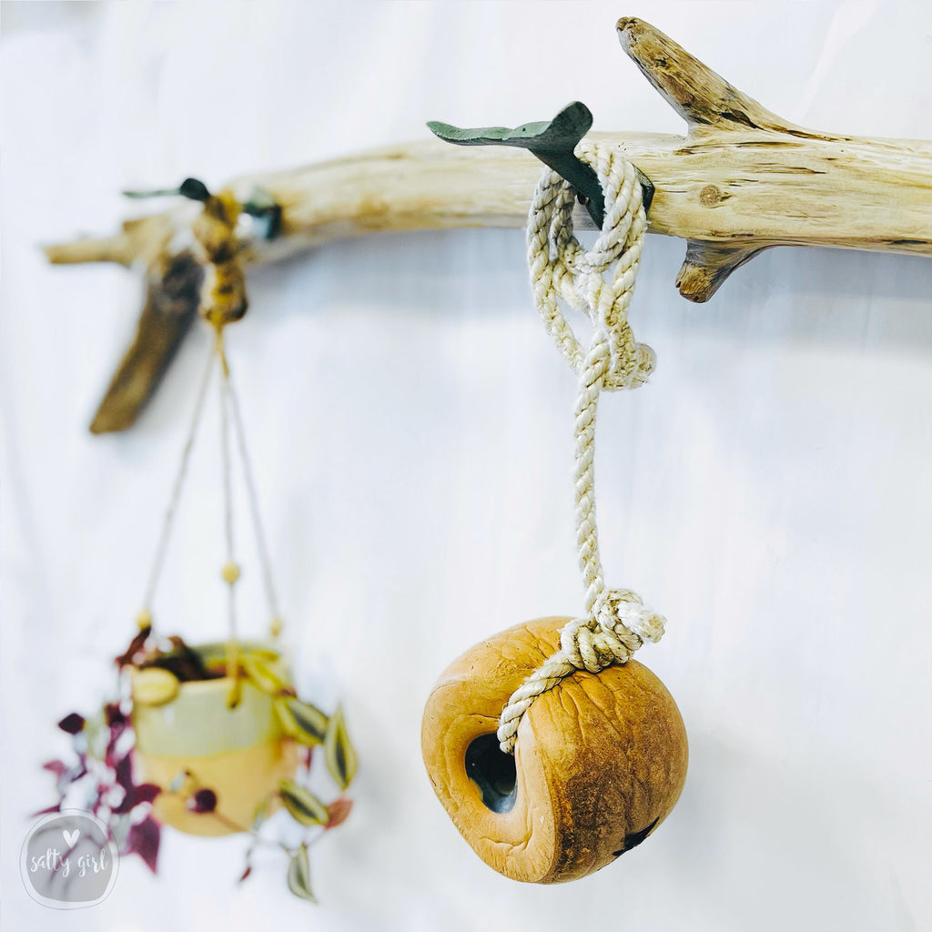 Whale Tail Towel Rack with hanging plant