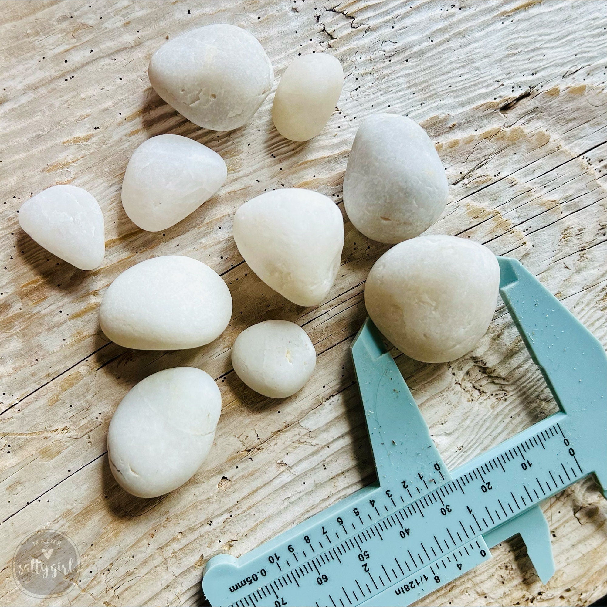 White Quartz Maine Beach Stone Collection - 20 Smooth Stones .5-1.5 inch