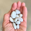 White Quartz Maine Beach Stone Collection - 20 Smooth Stones .5-1.5 inch
